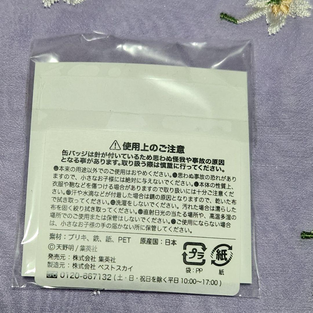 REBORN 雲雀恭弥 ディーノ 缶バッジ jf