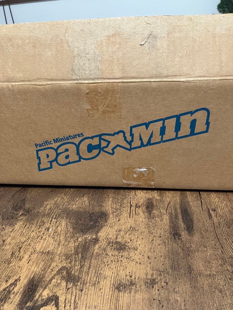 【激レア】　黒澤JAS（日本エアシステム）MD-90 JA8066 PACMIN