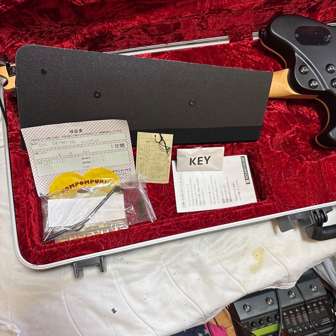 ギター evh wolf gang special