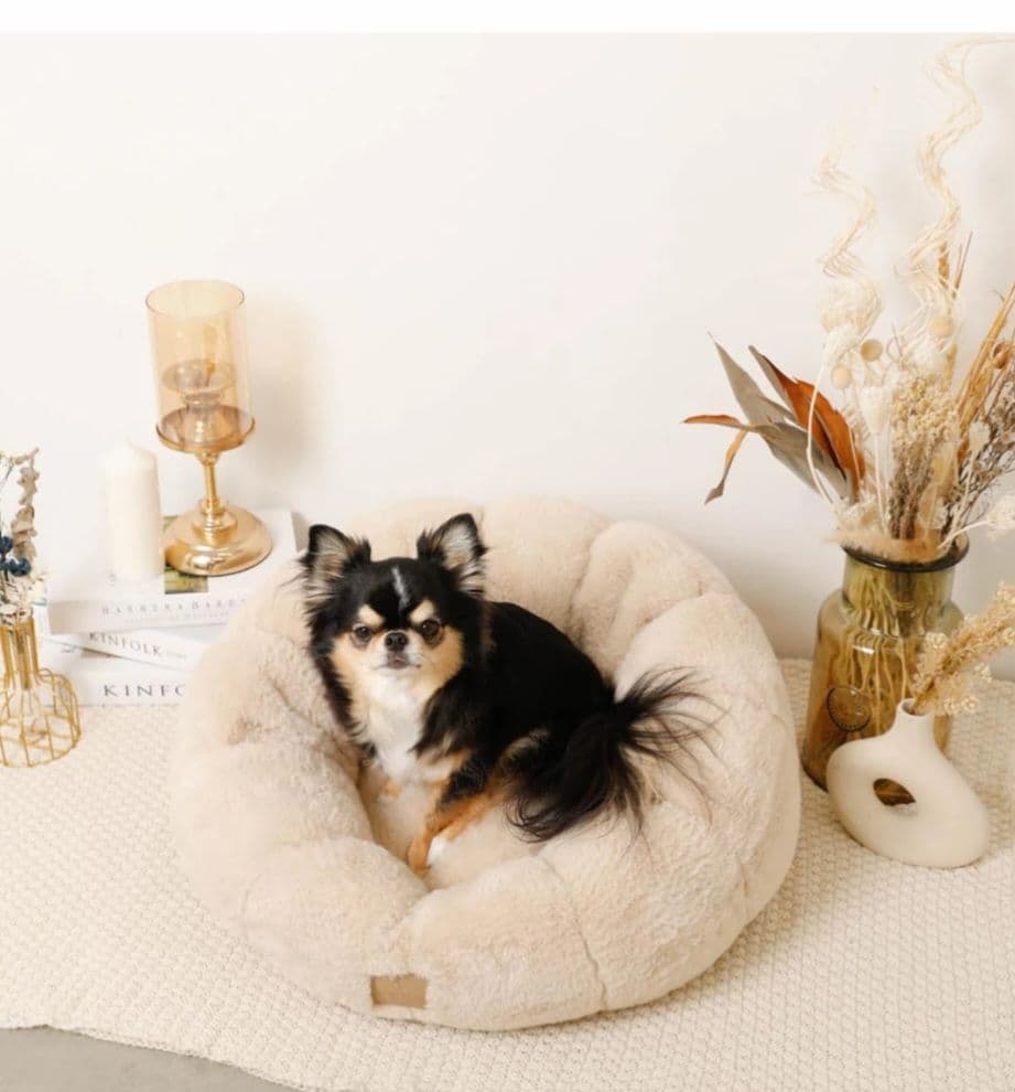 モンシェリMon chéri☆今季新作ベッド13178円