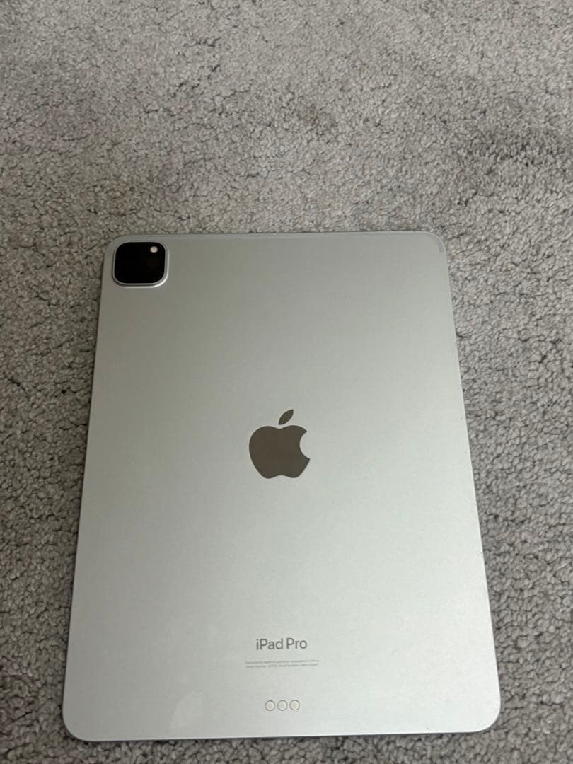 iPad Pro 11インチ　第4世代 256GB　Wi-Fiモデル　Apple