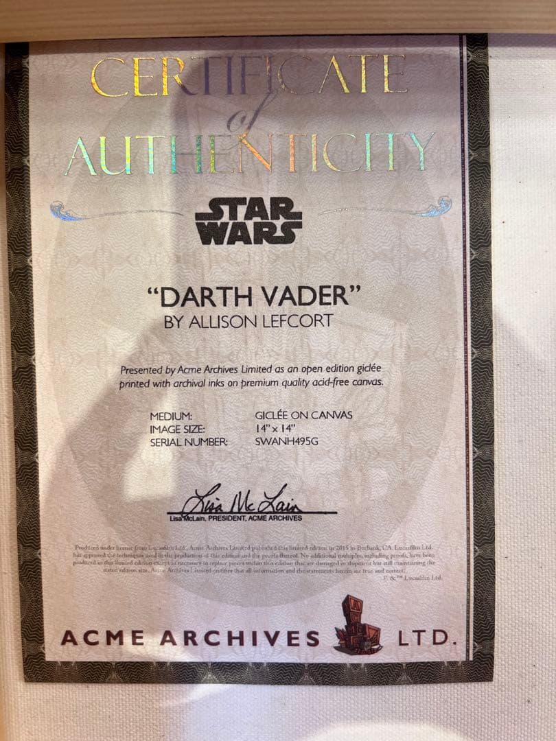 激レア\"DARTH VADER\" BY ALLISON LEFCORT