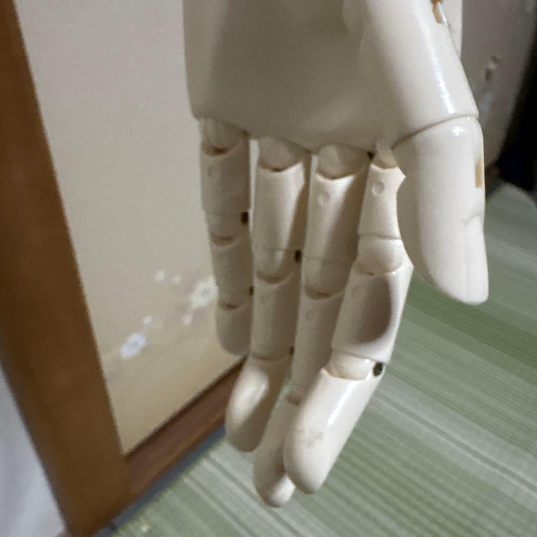 マネキン　関節あり　SUN エコボディ　アパレル　トルソー