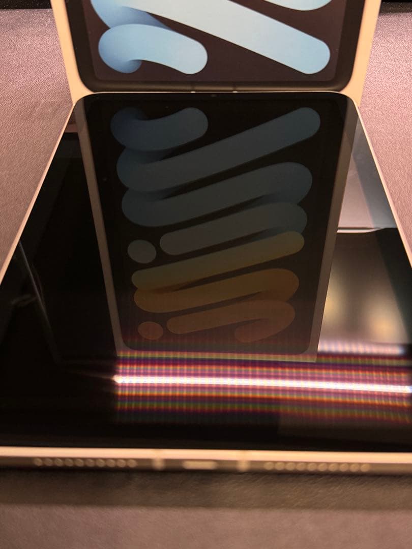 iPad mini 6 Wi-Fi + Cellular 64GB スターライト