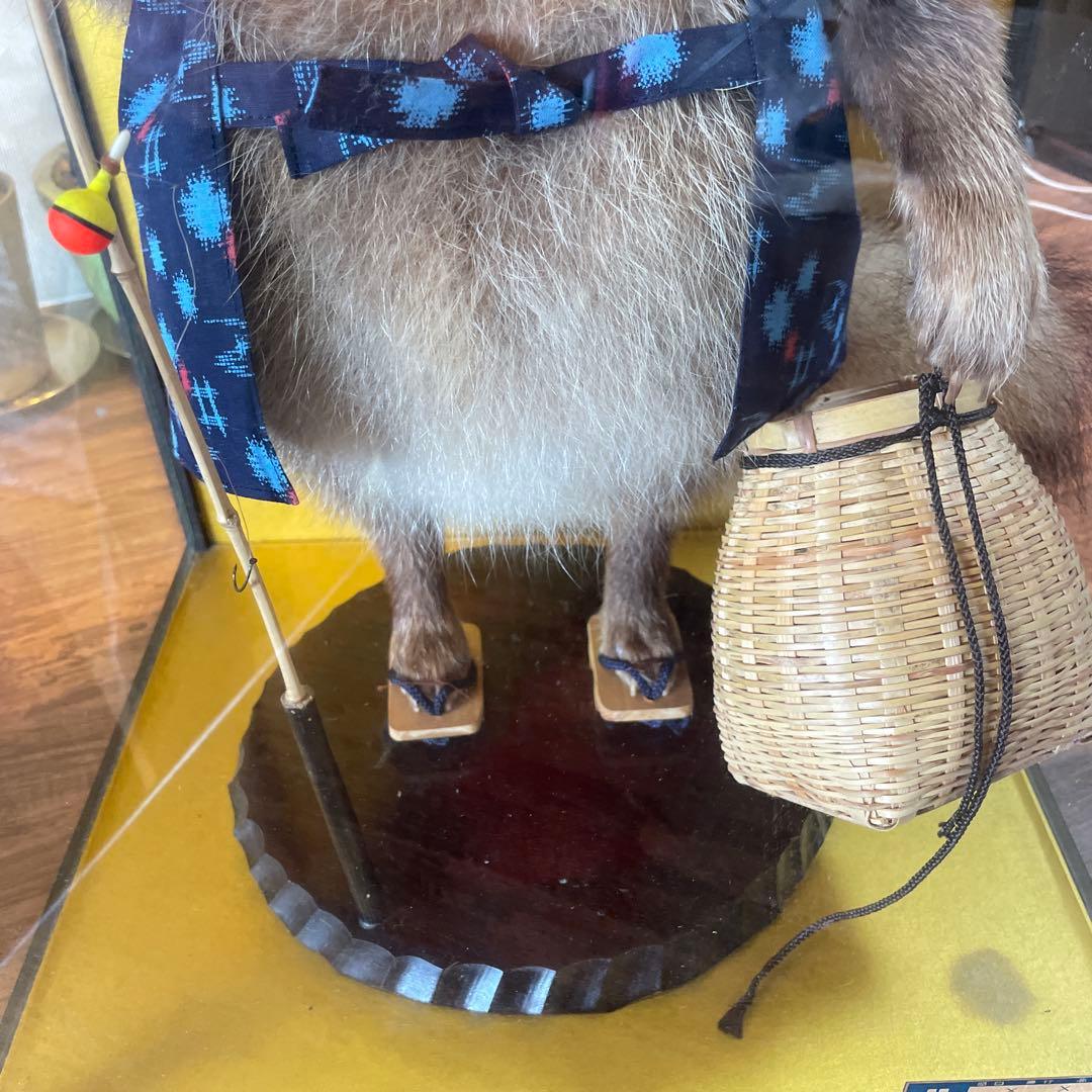 釣り師狸（タヌキ）置物/ たぬきの剥製