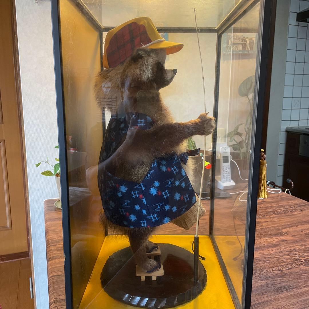 釣り師狸（タヌキ）置物/ たぬきの剥製