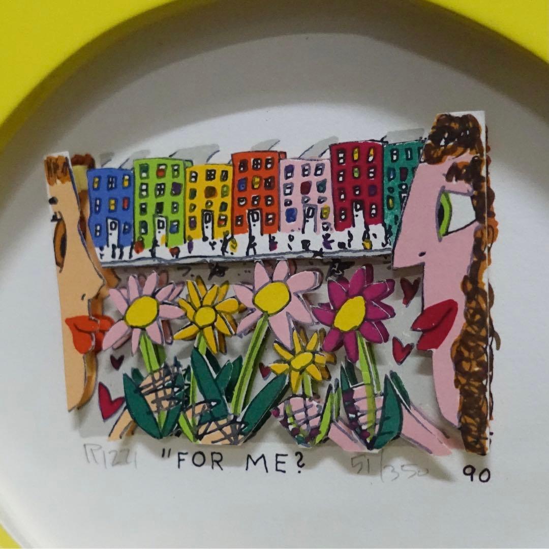 希少 ジェームスリジィ 特別額装 お花フレーム アメリカンポップアート 3D