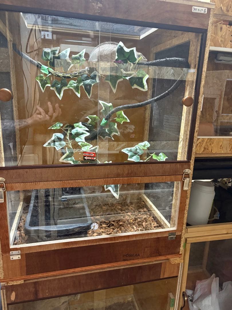 爬虫類ケージ　60×30×30 サイドアクリルタイプ　爬虫類　ケージ ペット