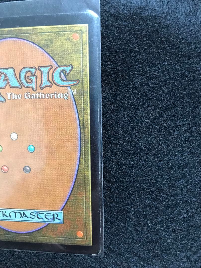 セラの聖域　Serra's Sanctum