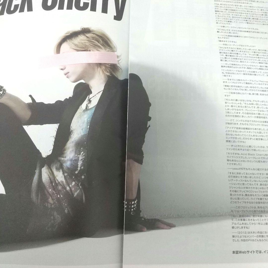 2013年 Acid Black Cherry、鳥山明 ドラゴンボール、初音ミク