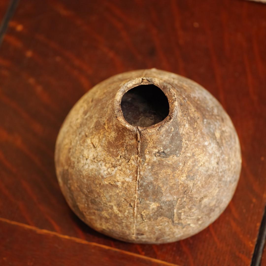 泉田之也 フリーカップ