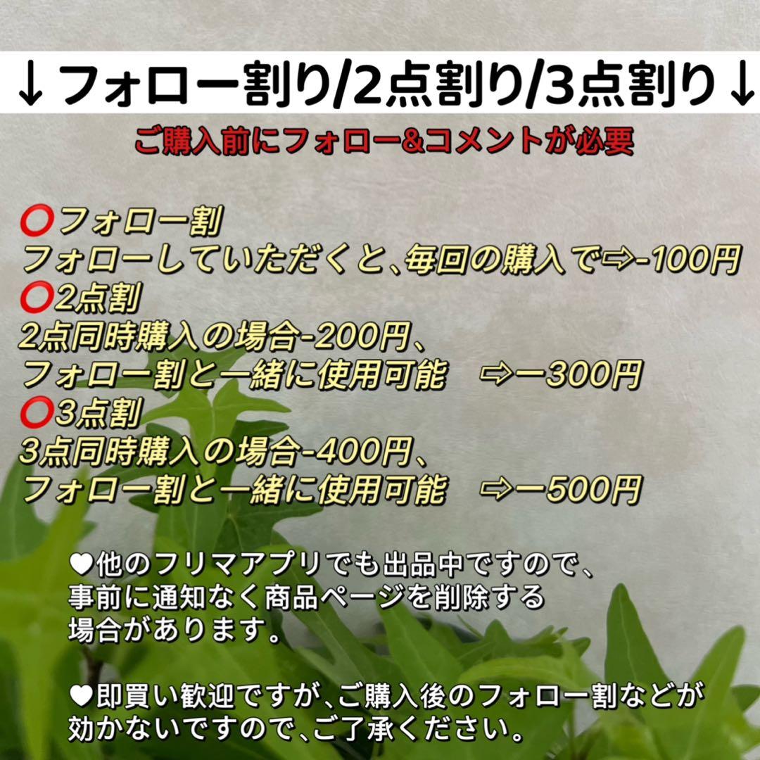 あまね様 リクエスト 2点 まとめ商品