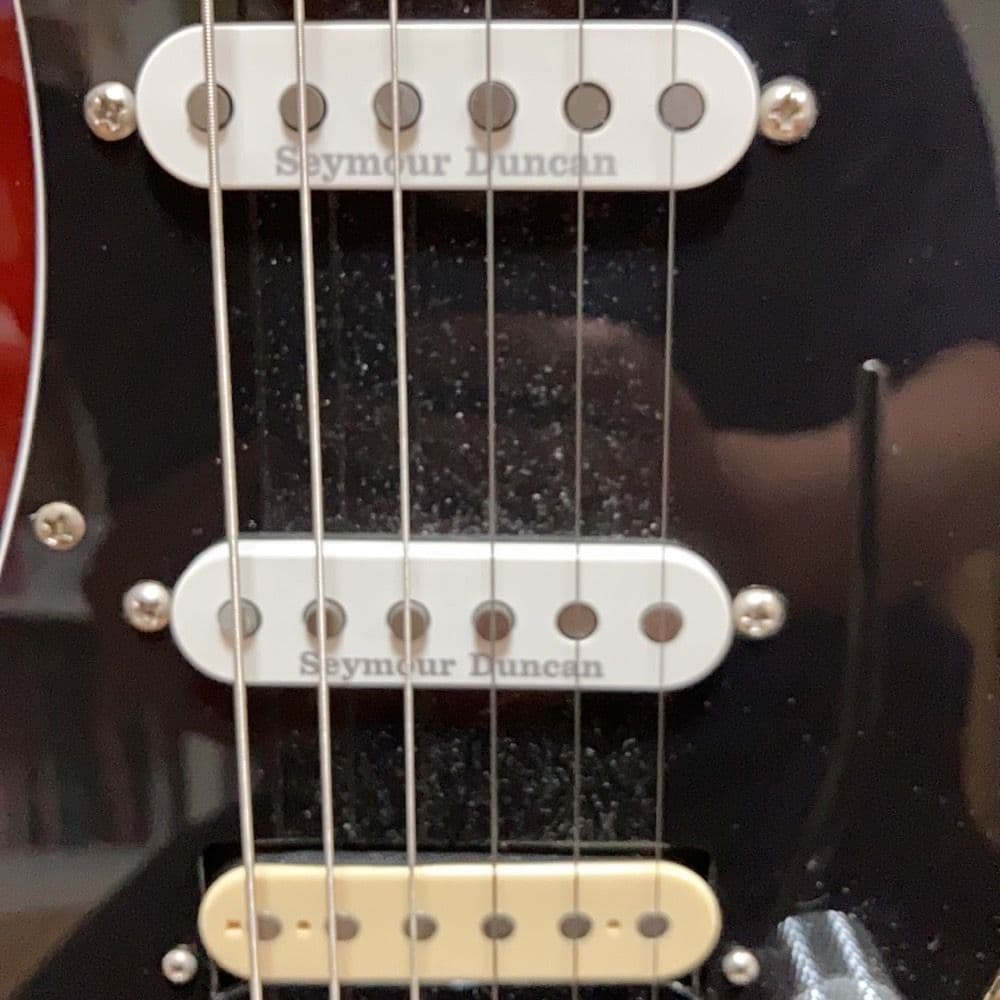 Bucchus グローバルシリーズ