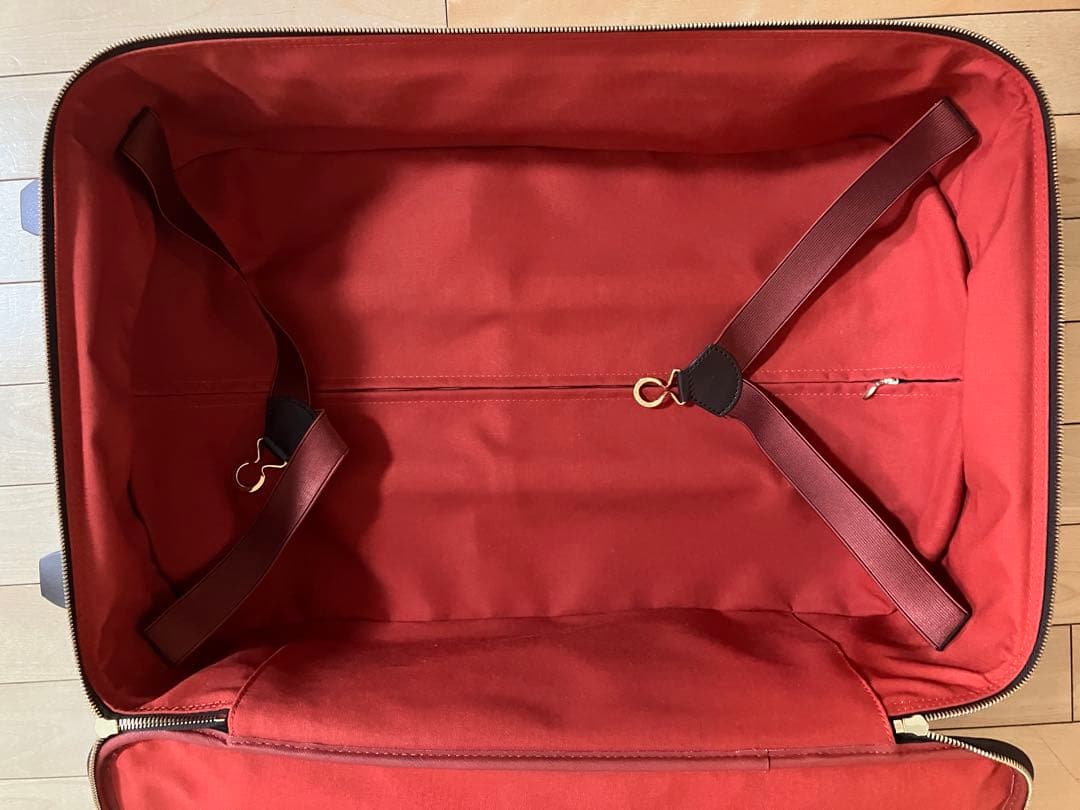 Louis Vuitton ダミエ ペガス55 N23294 キャリーバッグ