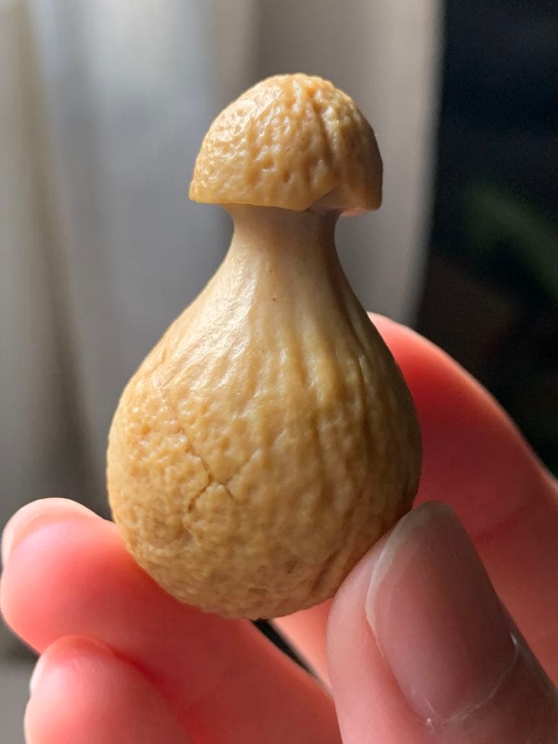 アラシャンゴビアゲート　蒙古瑪瑙　原石　水石　翡翠　オパール　根付　天珠 翡翠