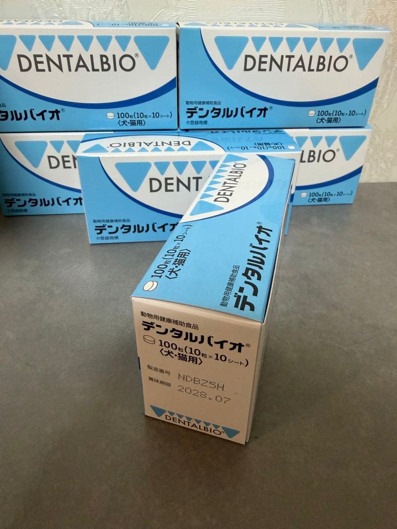 共立製薬 デンタルバイオ 10粒×10シート 12箱