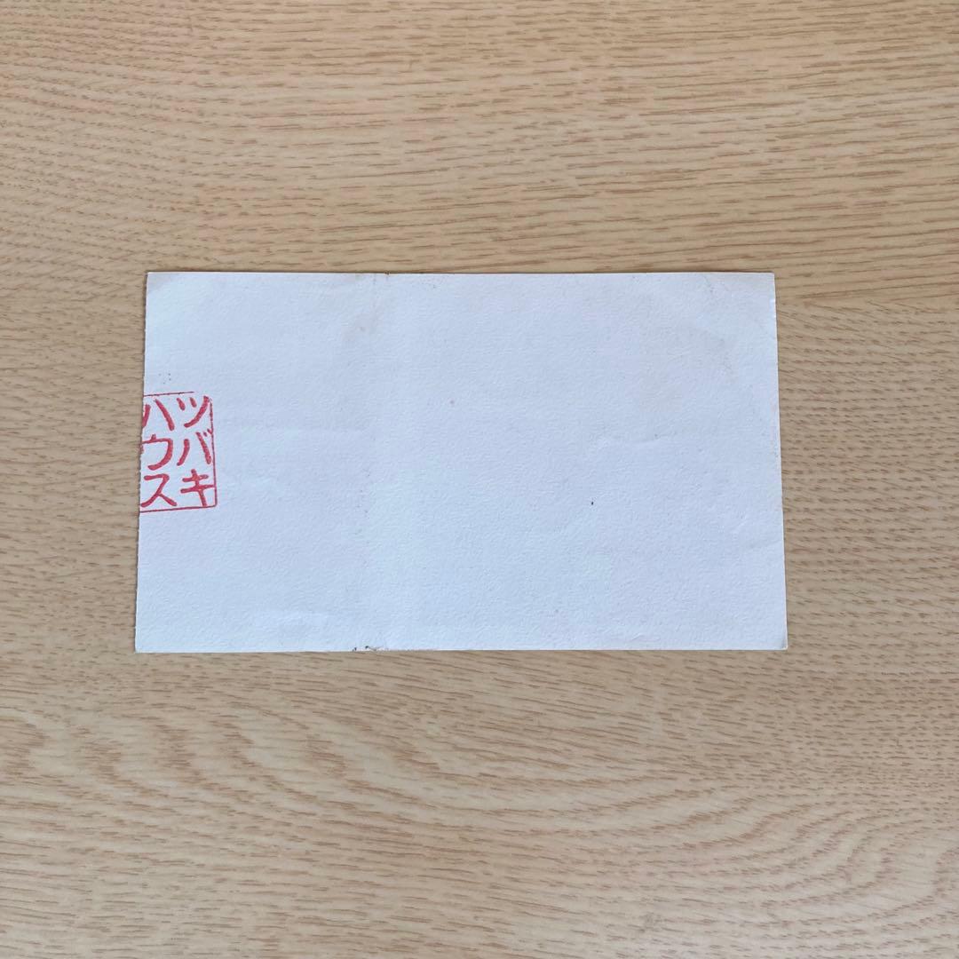 THE LOUNGE LIZARDS ツバキハウス ライブチケット半券 1983