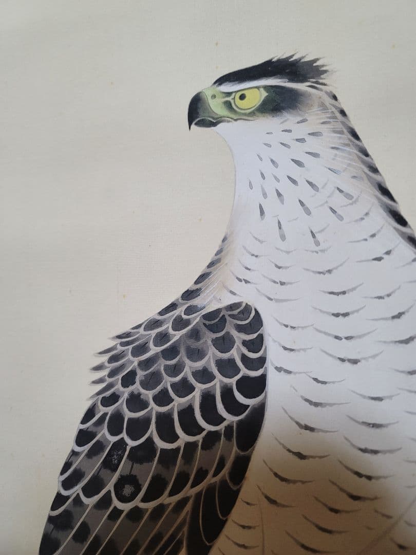 安来出身 画家 野々内安太郎 共箱 松に鷹