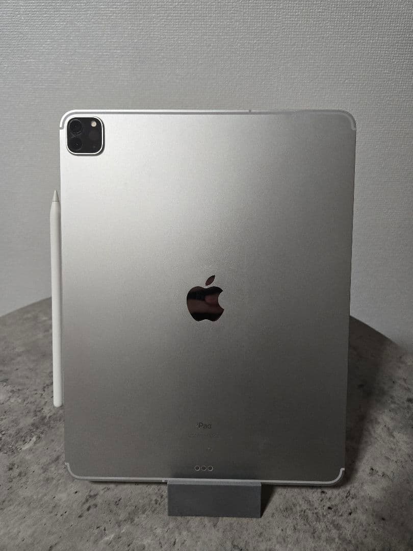 【最終値下げ】Apple iPad Pro /12.9/第4世代/128G/+α