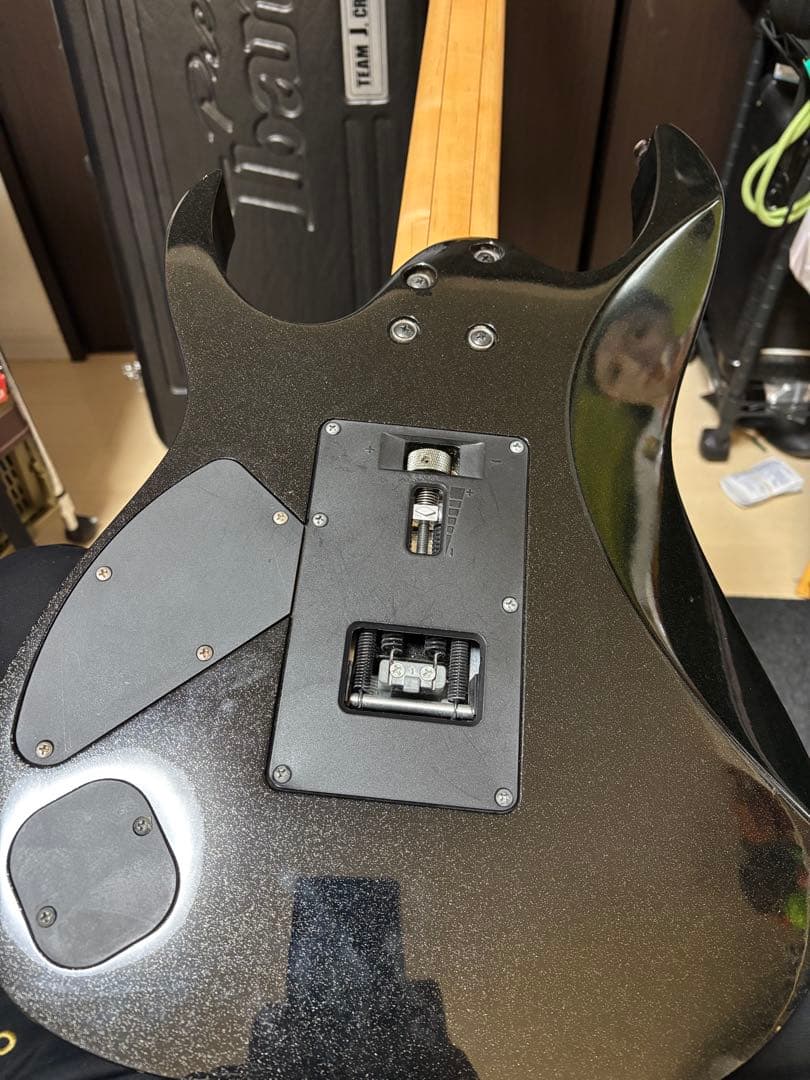 ギター Ibanez Prestige RG2670Z