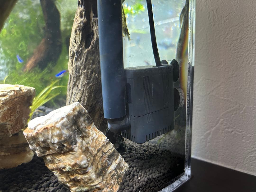 上部濾過式アクアリウム水槽アクアポニックス仕様　60cm幅水槽用