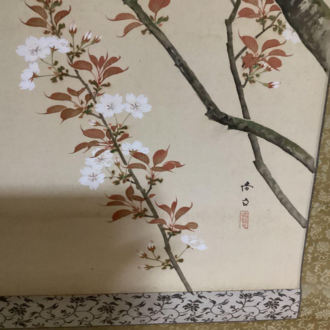 O-6 桜花の図　尚文　　桜と青い鳥の掛軸