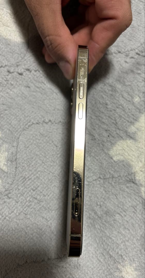 Apple iPhone 12 Pro シルバー 本体 256 Gb