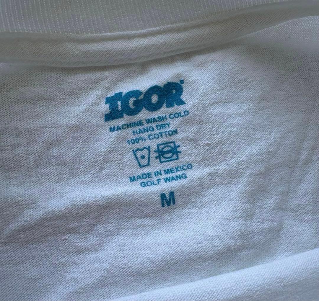 Tyler the creator ツアーT IGOR