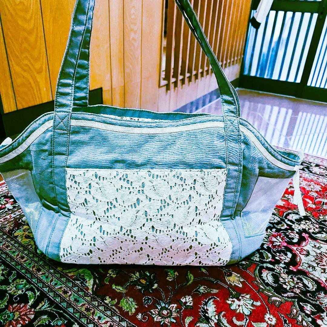 Luxembourg birdie ペット用キャリーL