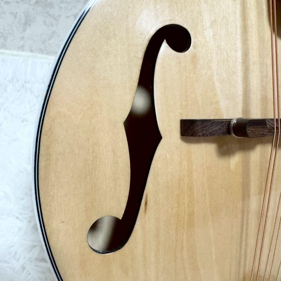 『希少美品』Mylowe フラットマンドリン ハードケース付き