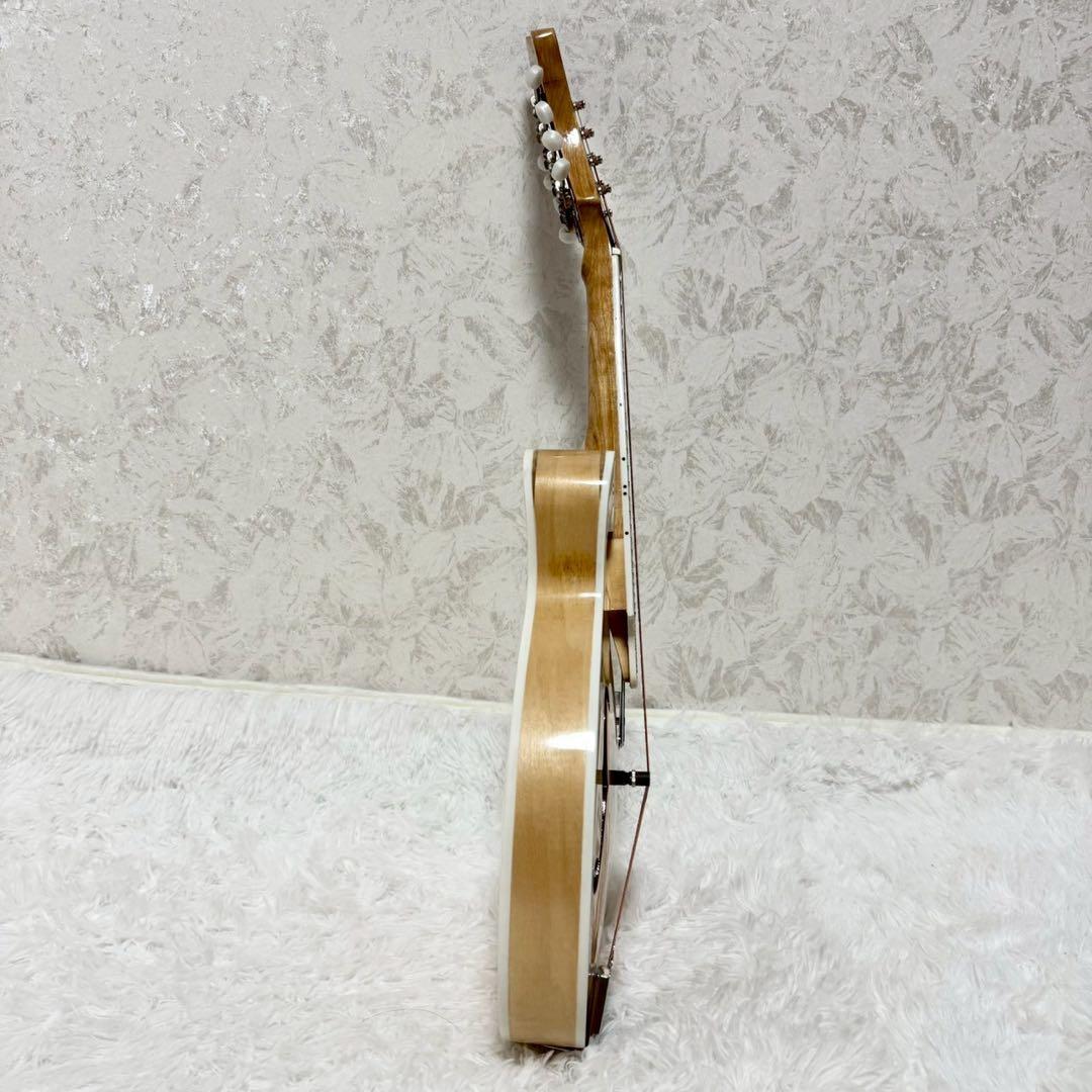 『希少美品』Mylowe フラットマンドリン ハードケース付き