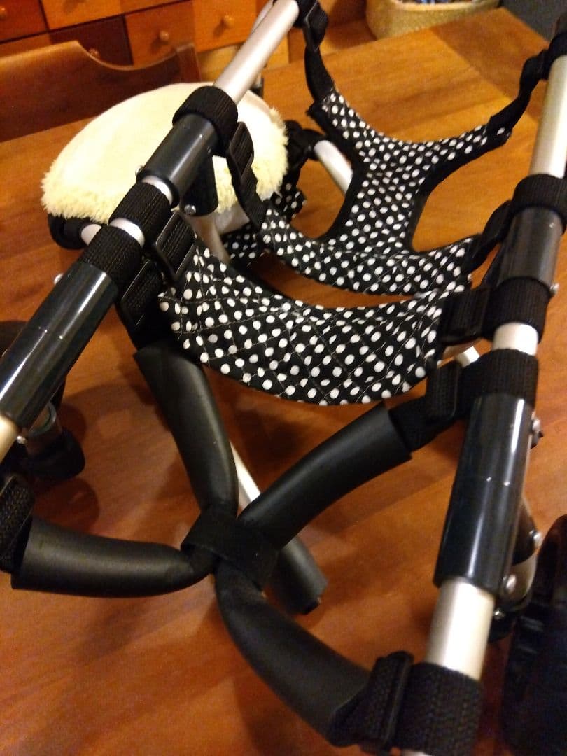 小型犬用車椅子　歩行器