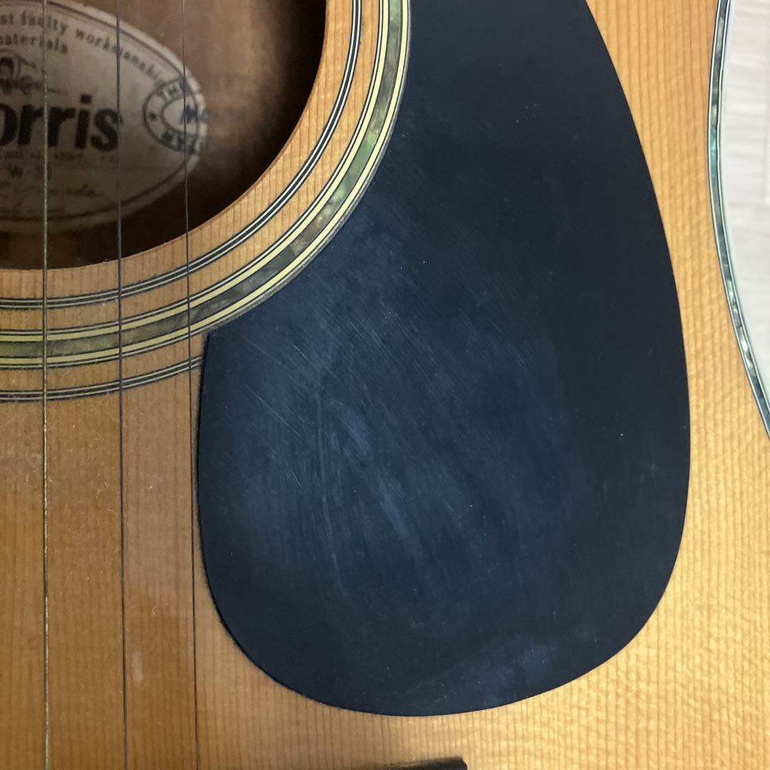 Morris アコースティックギター W-30