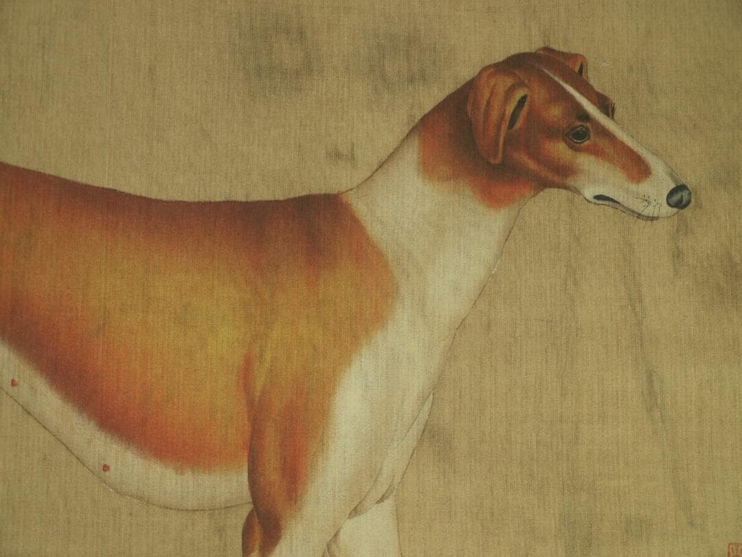 【骨董掛け軸】犬図 中国郎世寧　 清時代 肉筆保證 唐物 BD545C11-4