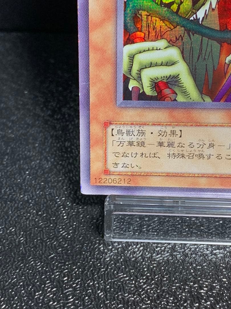 遊戯王　レジェンドデビル　エラーカード　ネームエラー　　ハーピィレディ三姉妹