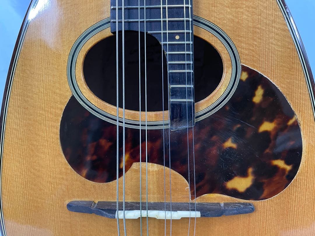 suzuki/スズキ マンドリン M-150 最上位機種