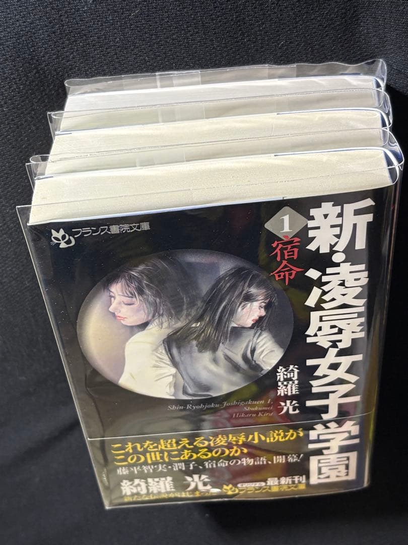 希少【傑作】【初版】凌辱女子学園 全巻セット 綺羅光※人気ランキング１位の傑作