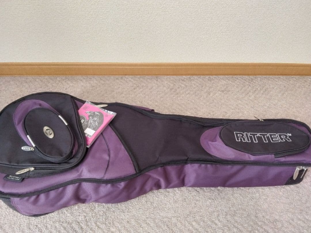 レア！Epiphone Boneyard エレキギター　ジョー・ペリー　モデル