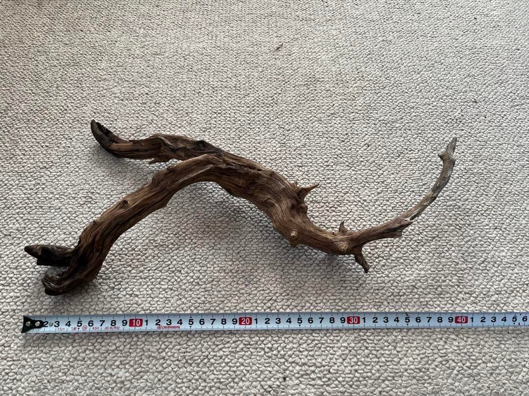 水槽用流木5本+石7個セット アクアリウム