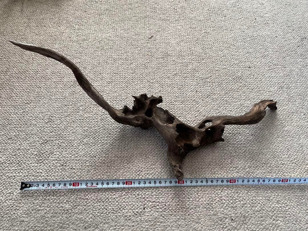 水槽用流木5本+石7個セット アクアリウム