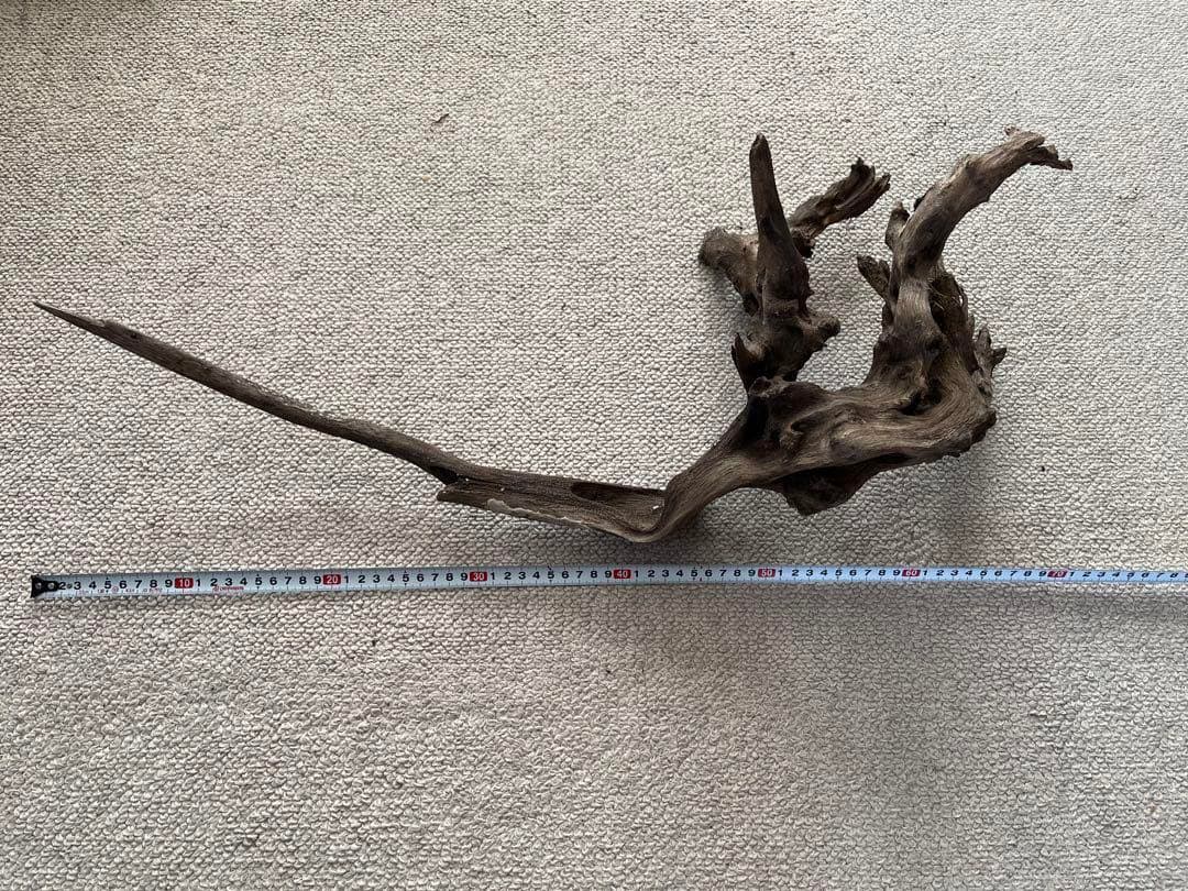 水槽用流木5本+石7個セット アクアリウム