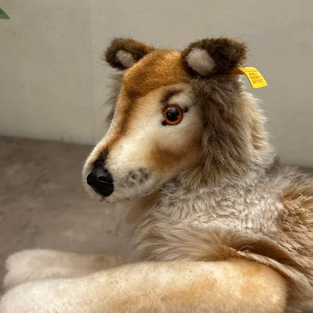 シュタイフ　コリー　オールドシュタイフ