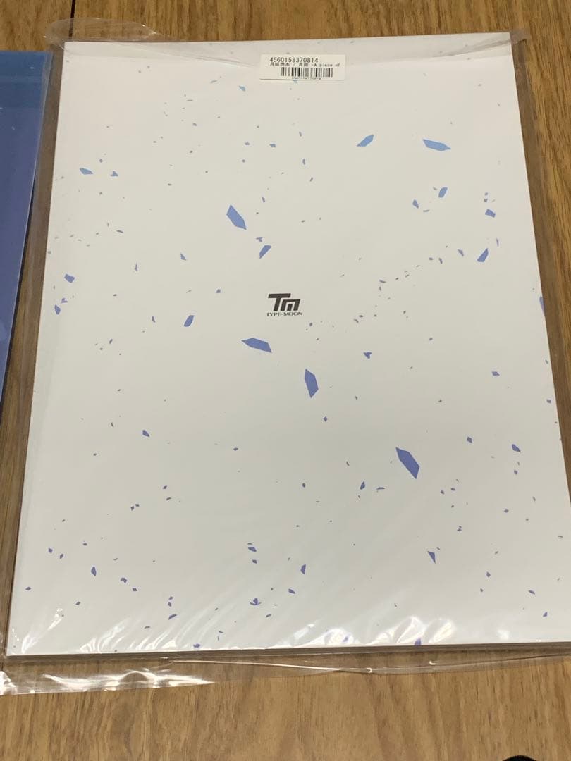 【新品未開封品】TYPE-MOON 月姫想本 クリアファイルセット