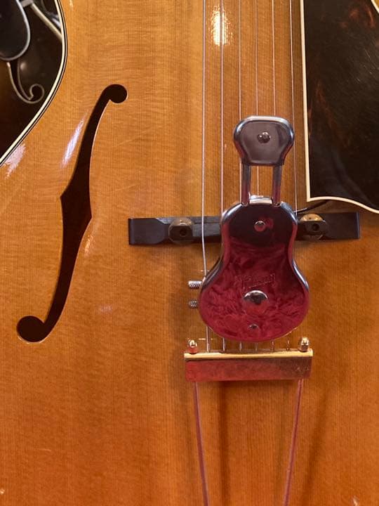 ギター Gibson VIBRA-REST