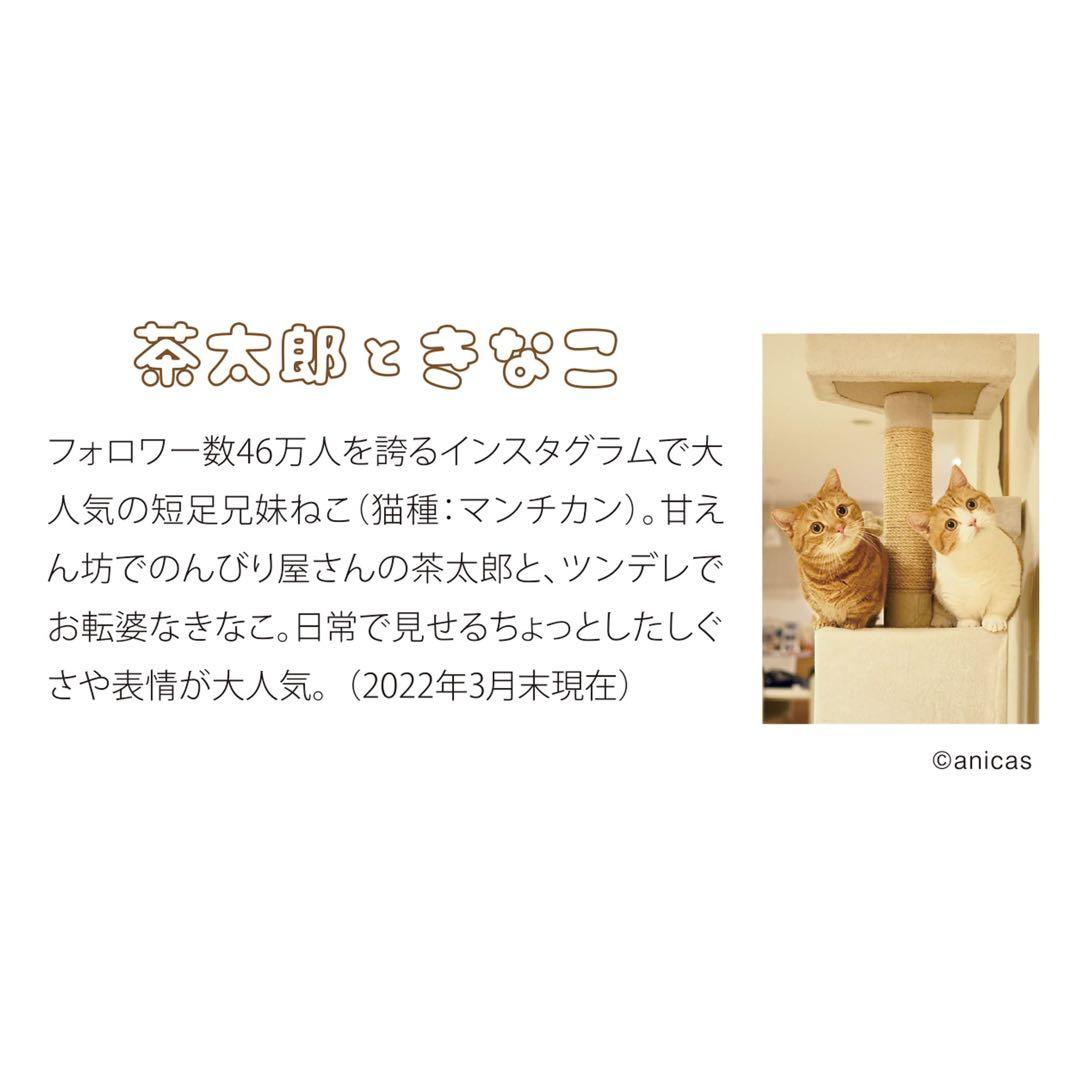 2023年　茶太郎ときなこ　壁掛け　カレンダー