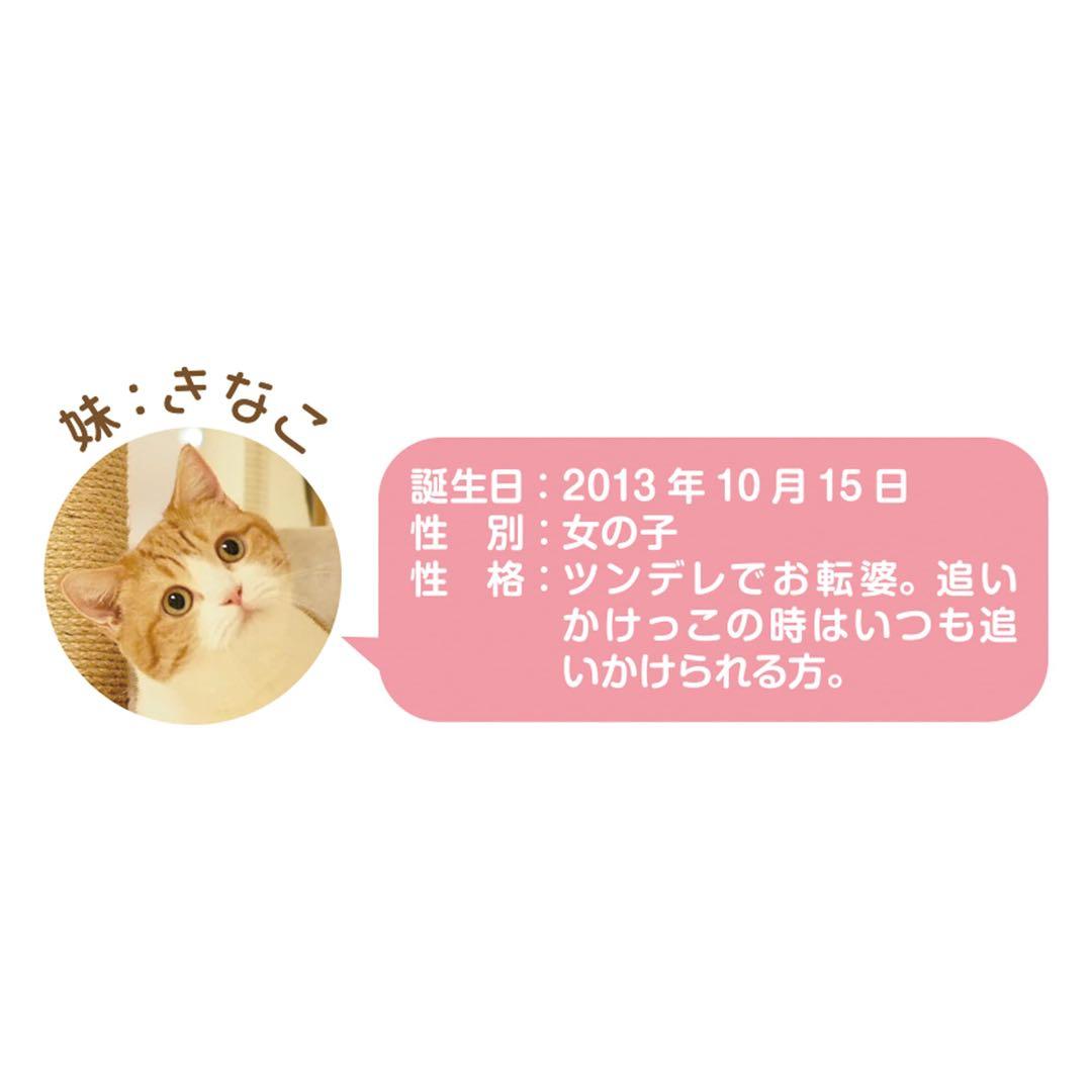 2023年　茶太郎ときなこ　壁掛け　カレンダー