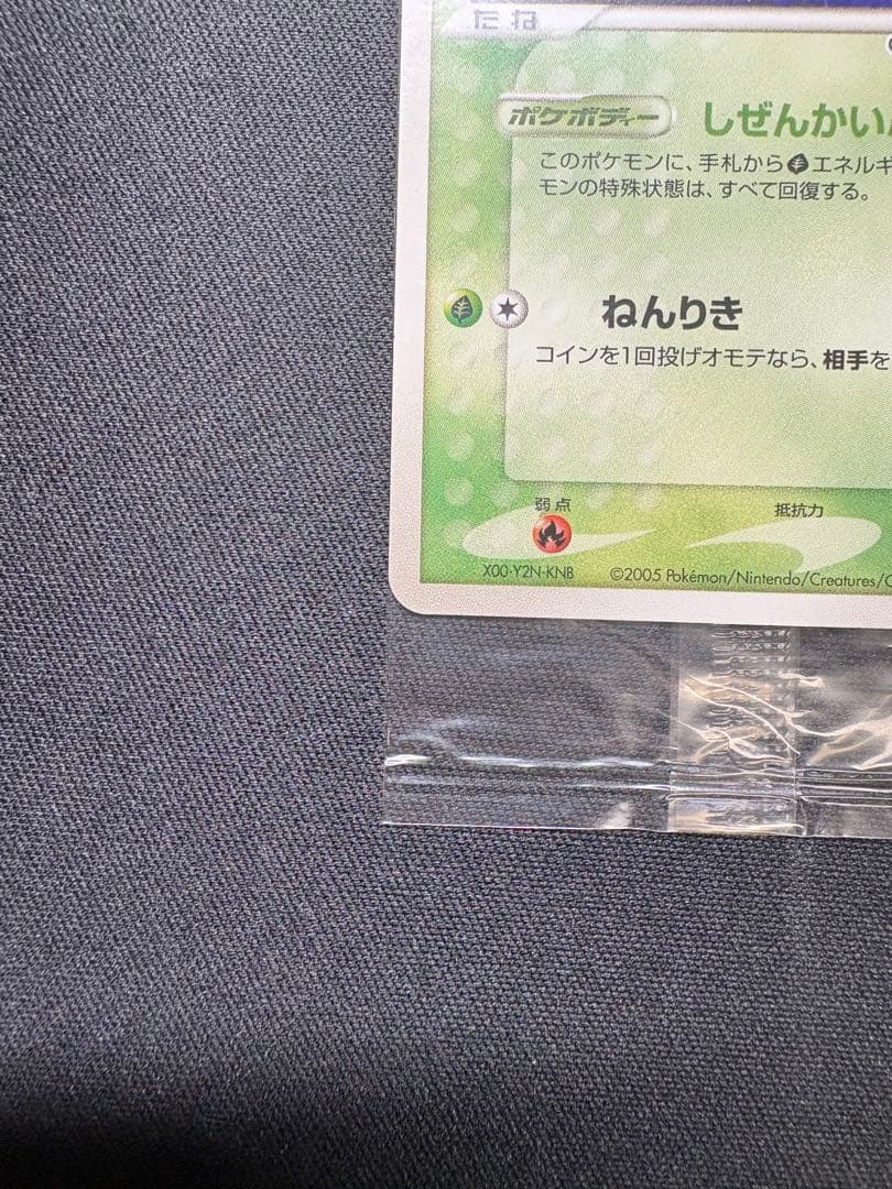 ポケパークのセレビィ　未開封　極美品
