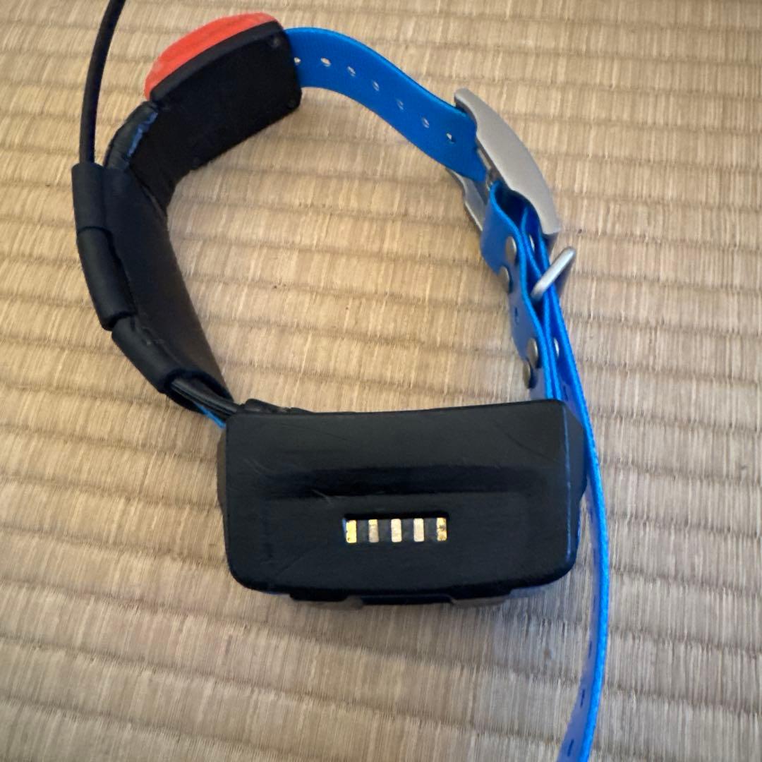 ガーミン犬発信機T5