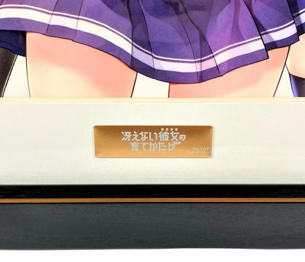 冴えない彼女の育てかた 深崎暮人 ローソンHMV限定 A3 額付 複製原画