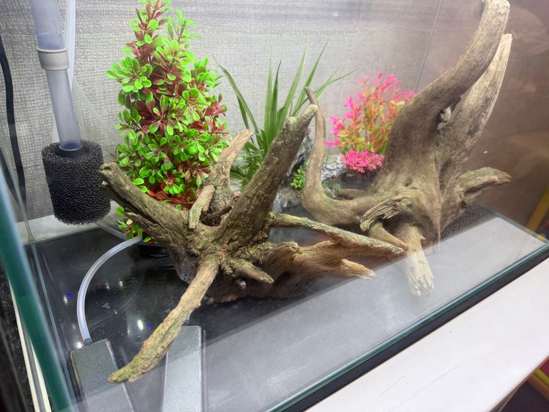 水槽　セット販売　60センチ水槽　流木2個　その他